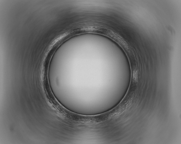 X0000112870724200908211029