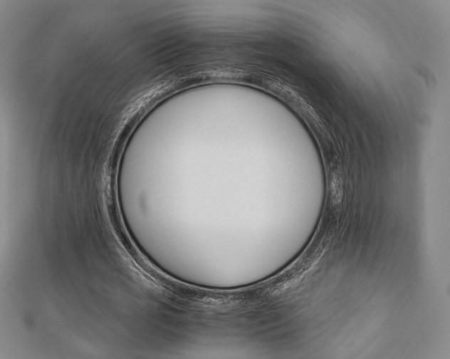 X0000112870725200908211029