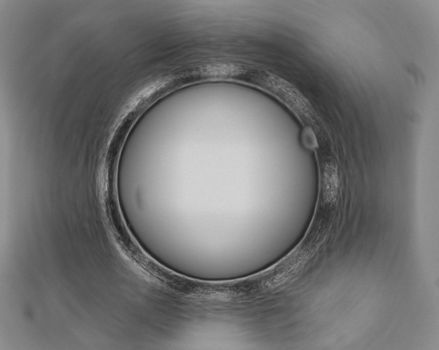 X0000112870726200908211029