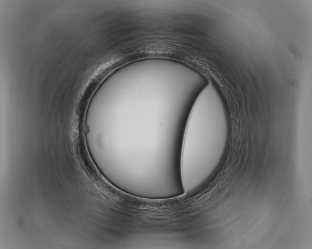 X0000112870727200908211029