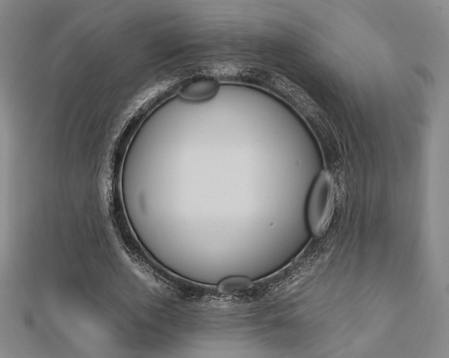 X0000112870728200908211029