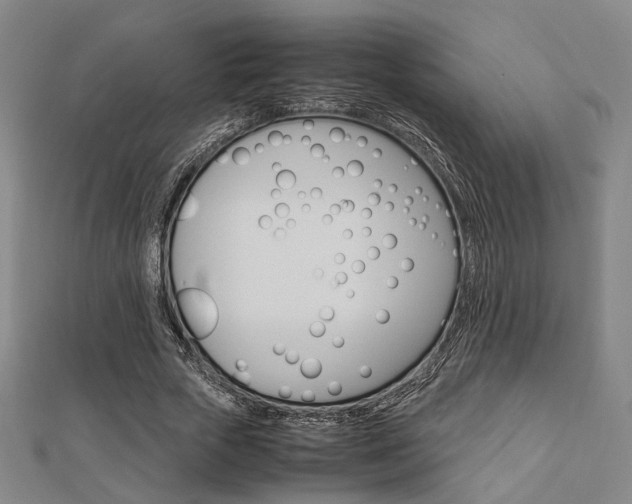 X0000112870729200908211029