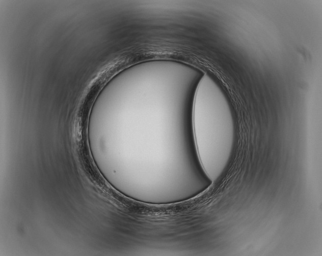 X0000112870731200908211029