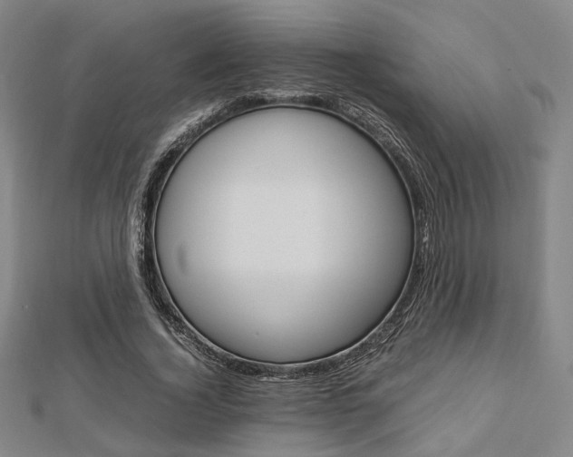 X0000112870732200908211029