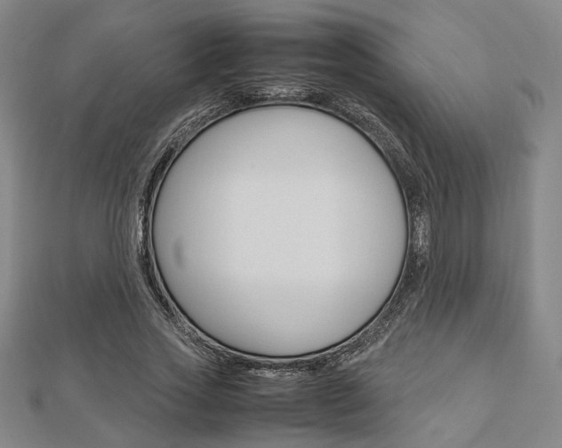 X0000112870733200908211029