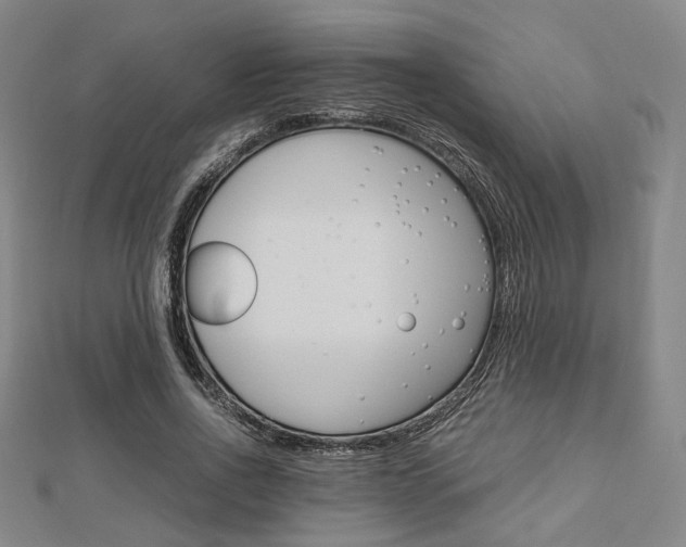 X0000112870734200908211029