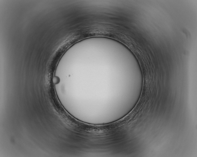 X0000112870735200908211029