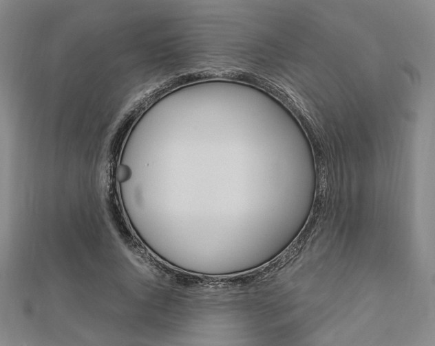 X0000112870736200908211029