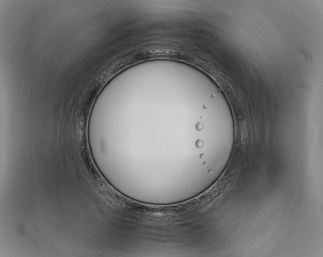 X0000112870737200908211029