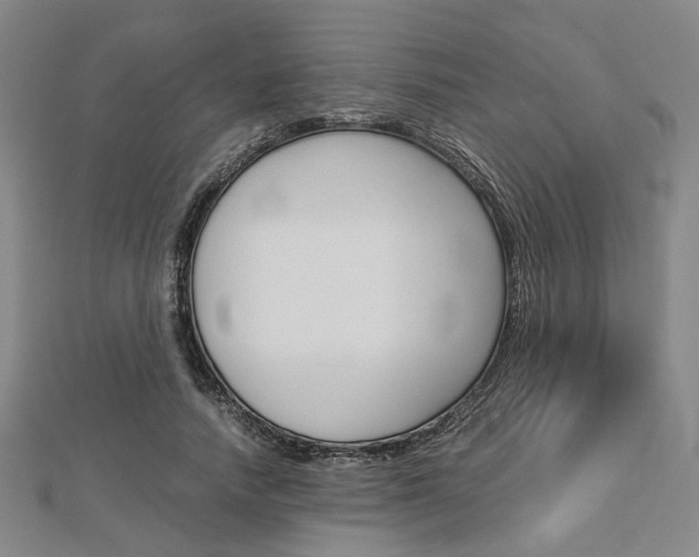 X0000112870738200908211029