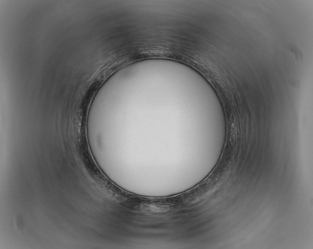 X0000112870739200908211029