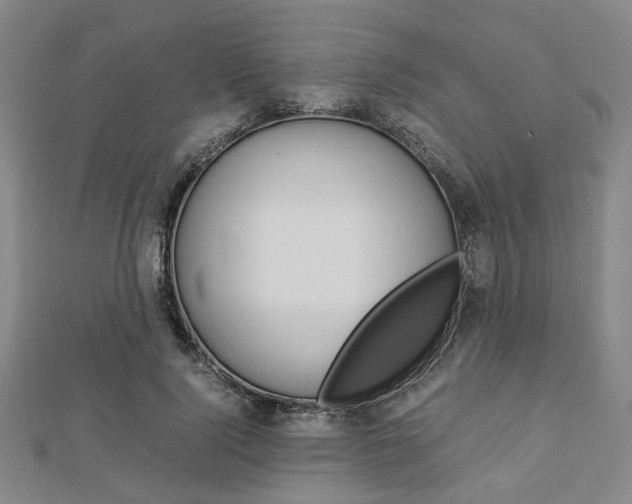 X0000112870740200908211029