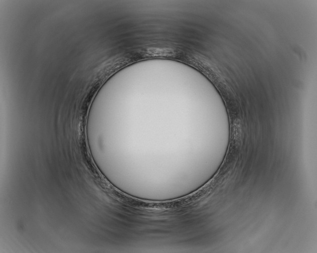 X0000112870741200908211029