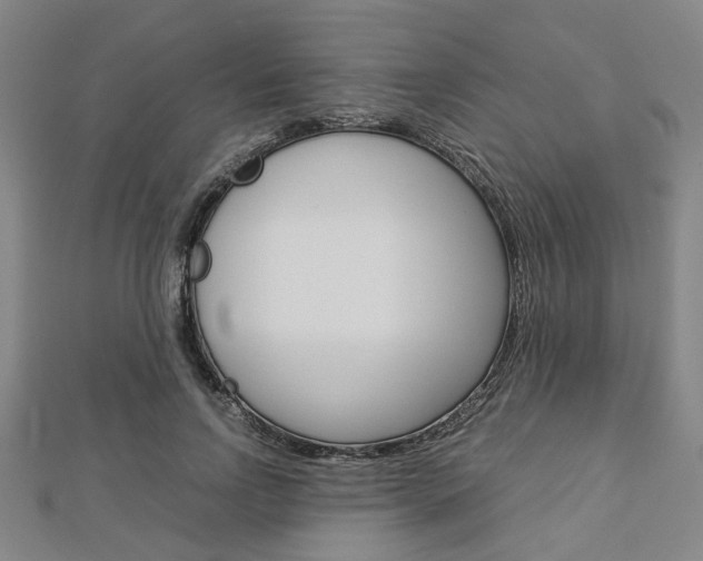 X0000112870742200908211029