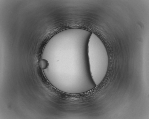 X0000112870743200908211029