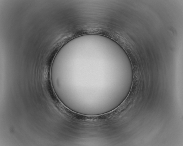 X0000112870744200908211029
