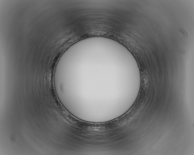 X0000112870745200908211029
