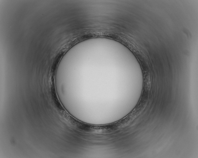 X0000112870746200908211029
