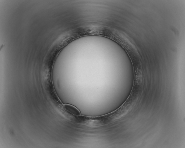 X0000112870748200908211029