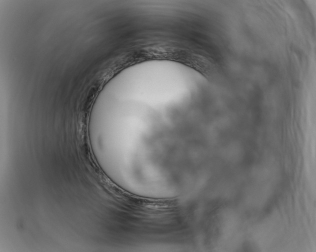 X0000112870749200908211029