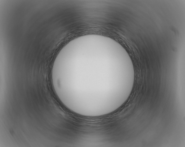 X0000112870750200908211029