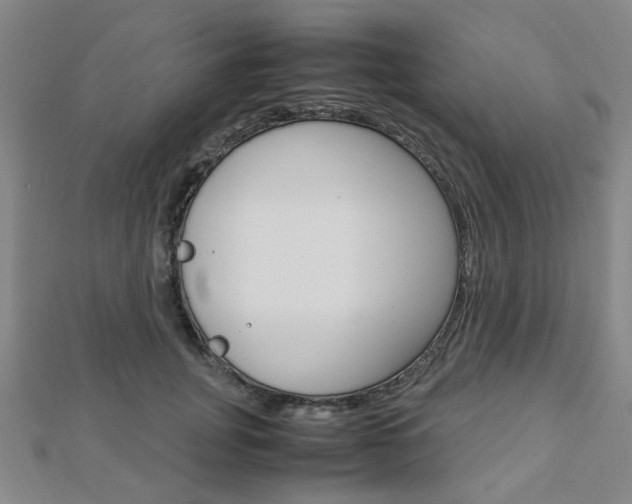 X0000112870751200908211029