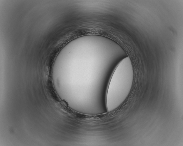 X0000112870752200908211029