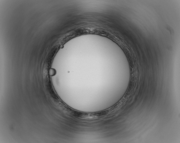 X0000112870754200908211030