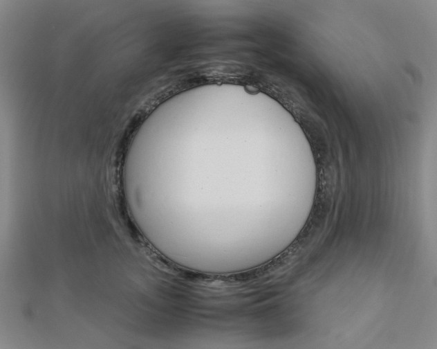 X0000112870755200908211030