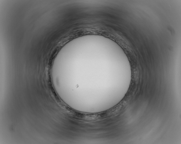 X0000112870757200908211030