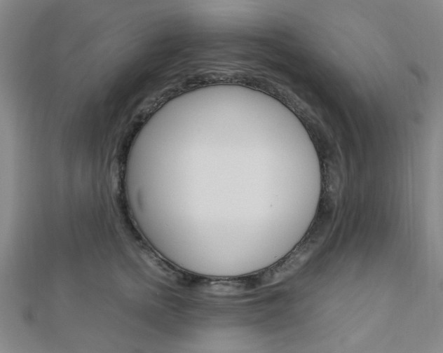 X0000112870758200908211030