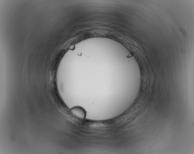 X0000112870759200908211030