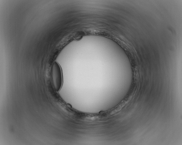 X0000112870760200908211030