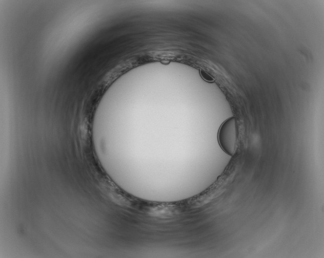 X0000112870761200908211030