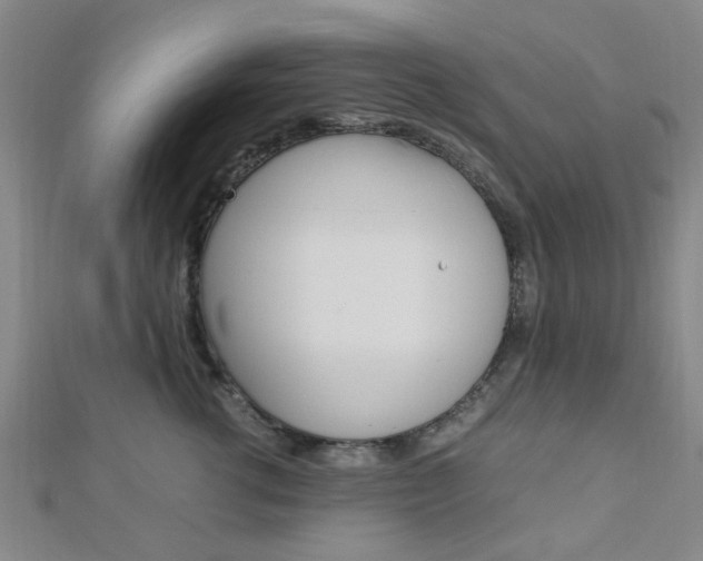 X0000112870762200908211030