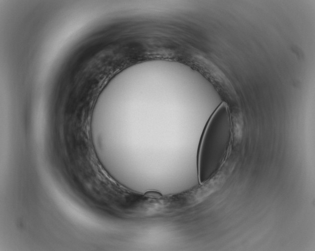 X0000112870764200908211030
