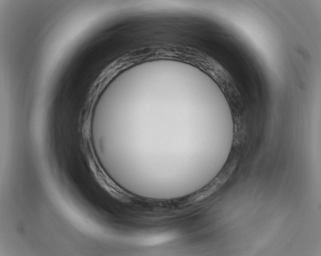 X0000112870765200908211030