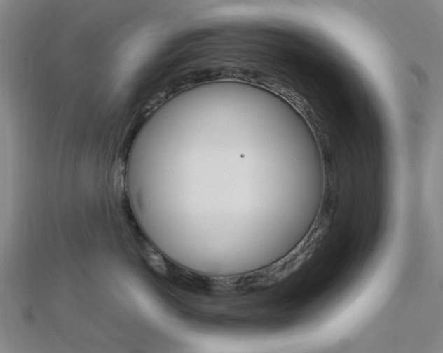 X0000112870766200908211030