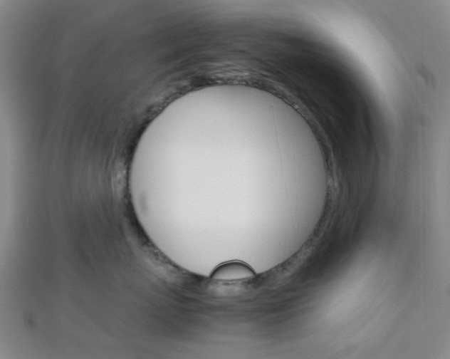 X0000112870767200908211030