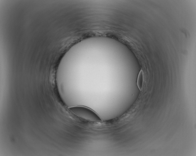 X0000112870768200908211030