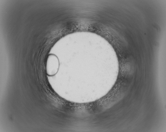 X0000112870769200908211029