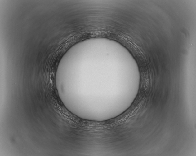 X0000112870770200908211029