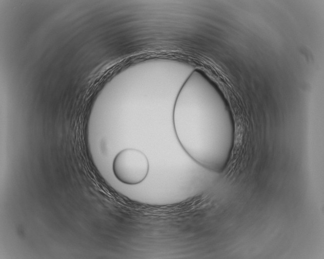 X0000112870773200908211029