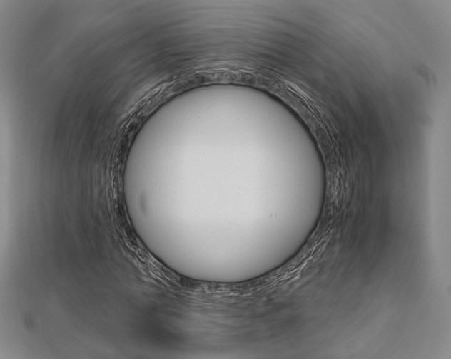 X0000112870774200908211029