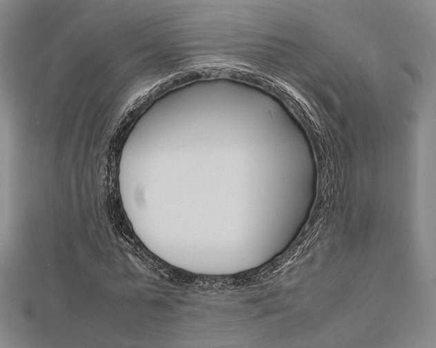 X0000112870775200908211029