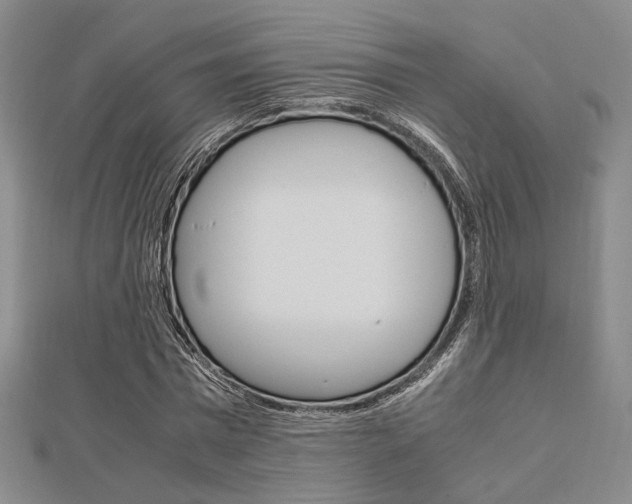 X0000112870777200908211029