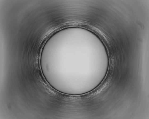 X0000112870778200908211029