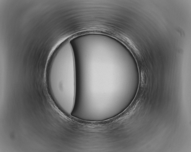 X0000112870780200908211029