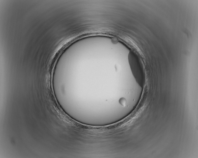 X0000112870781200908211029