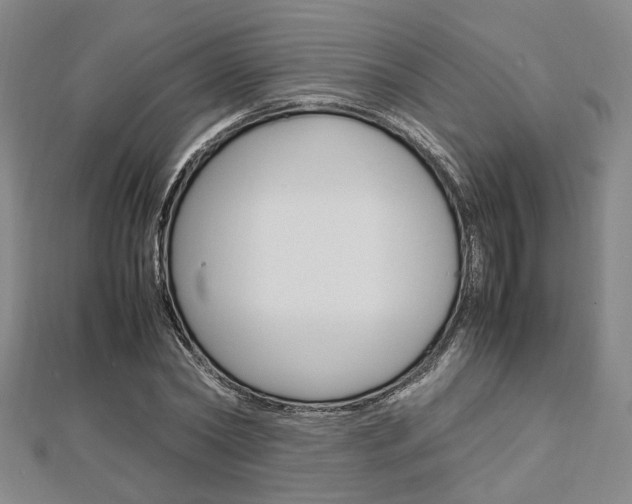 X0000112870782200908211029
